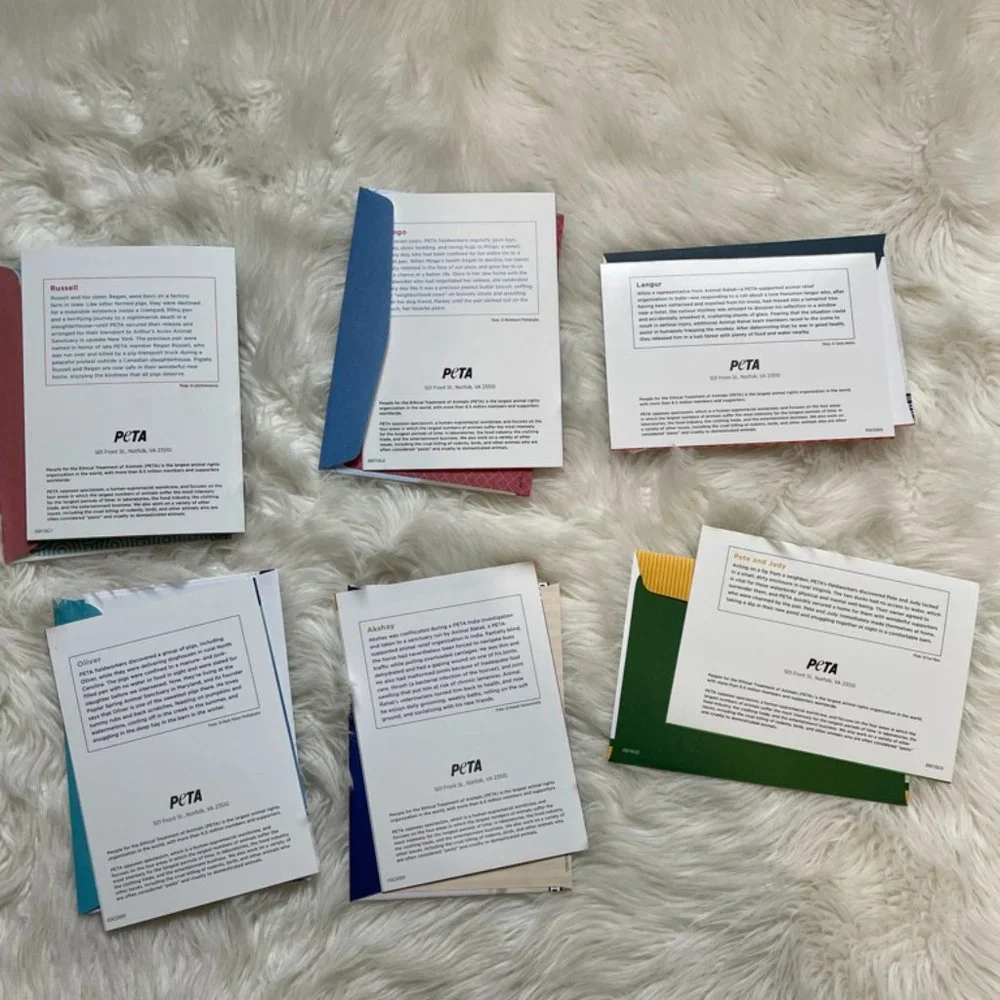6 Assorted Greeting cards with matching print envelopes (PETA) Blank Inside